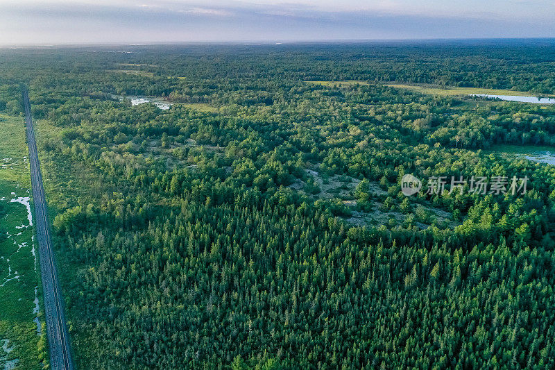 黄昏时的Muskoka Torrance Barrens Dark-Sky保护区，Gravenhurst，加拿大